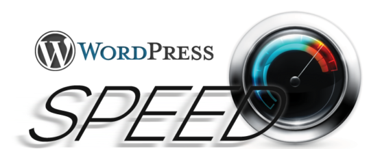 21 Cara Mempercepat Loading Website WordPress Anda